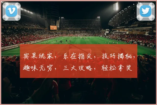 宾果玩家，乐在指尖，技巧揭秘，趣味无穷，三大攻略，轻松拿奖