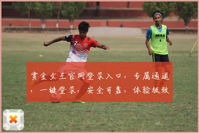 赏金女王官网登录入口，专属通道，一键登录，安全可靠，体验极致