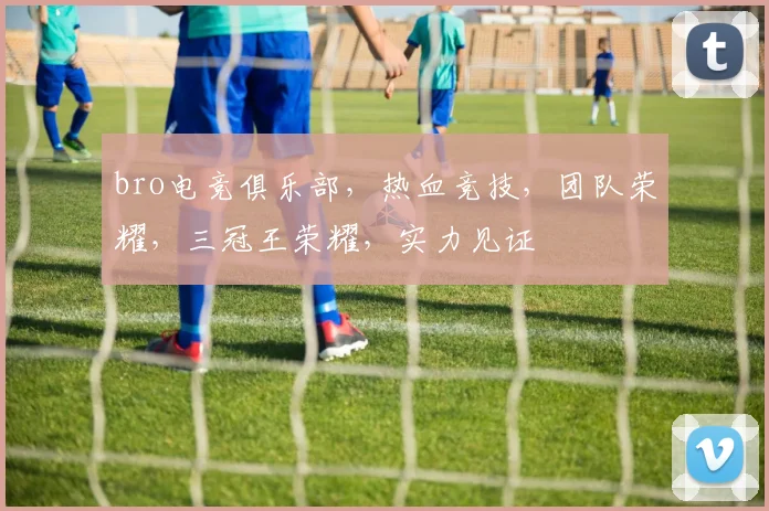 bro电竞俱乐部，热血竞技，团队荣耀，三冠王荣耀，实力见证